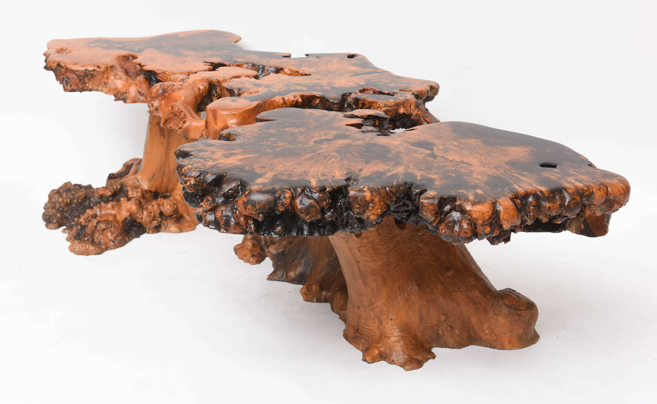 Mid-20th Century Large-Scale Cypress Coffee Table