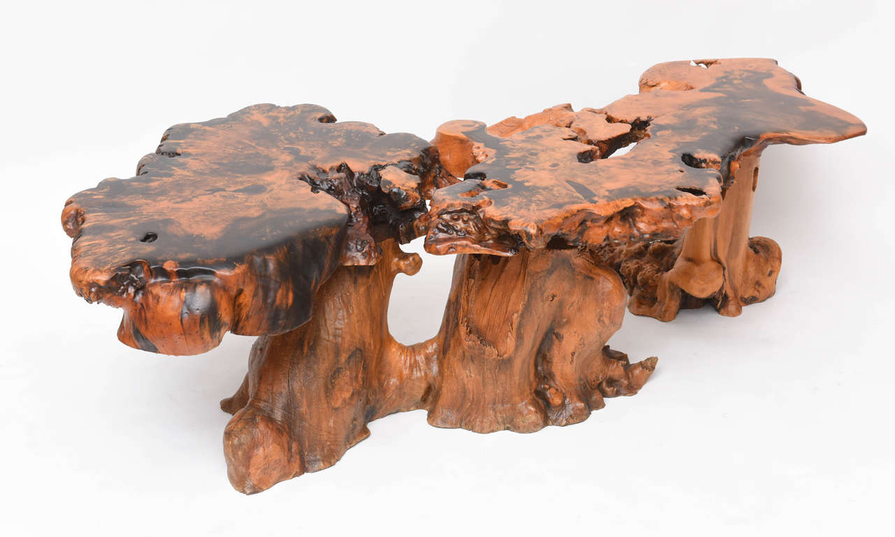 Large-Scale Cypress Coffee Table 2