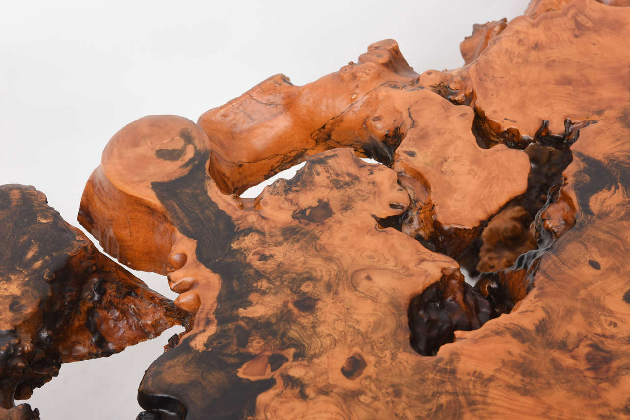 Large-Scale Cypress Coffee Table 3