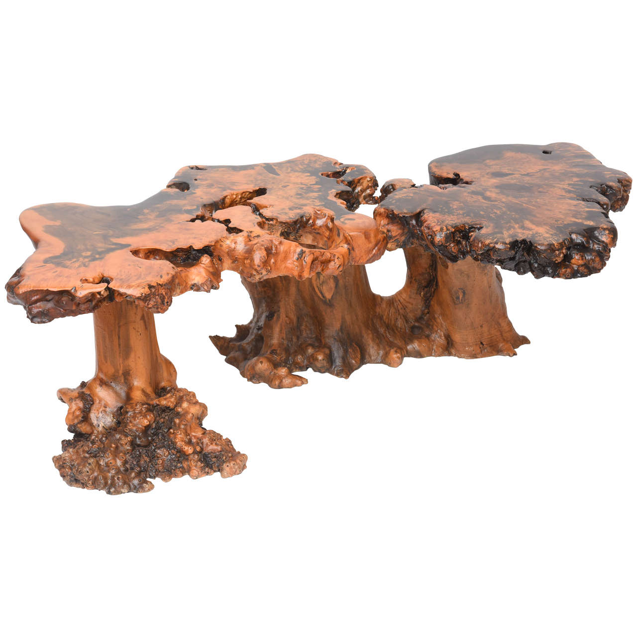 Large-Scale Cypress Coffee Table