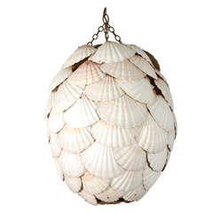 Shell Pendant Light