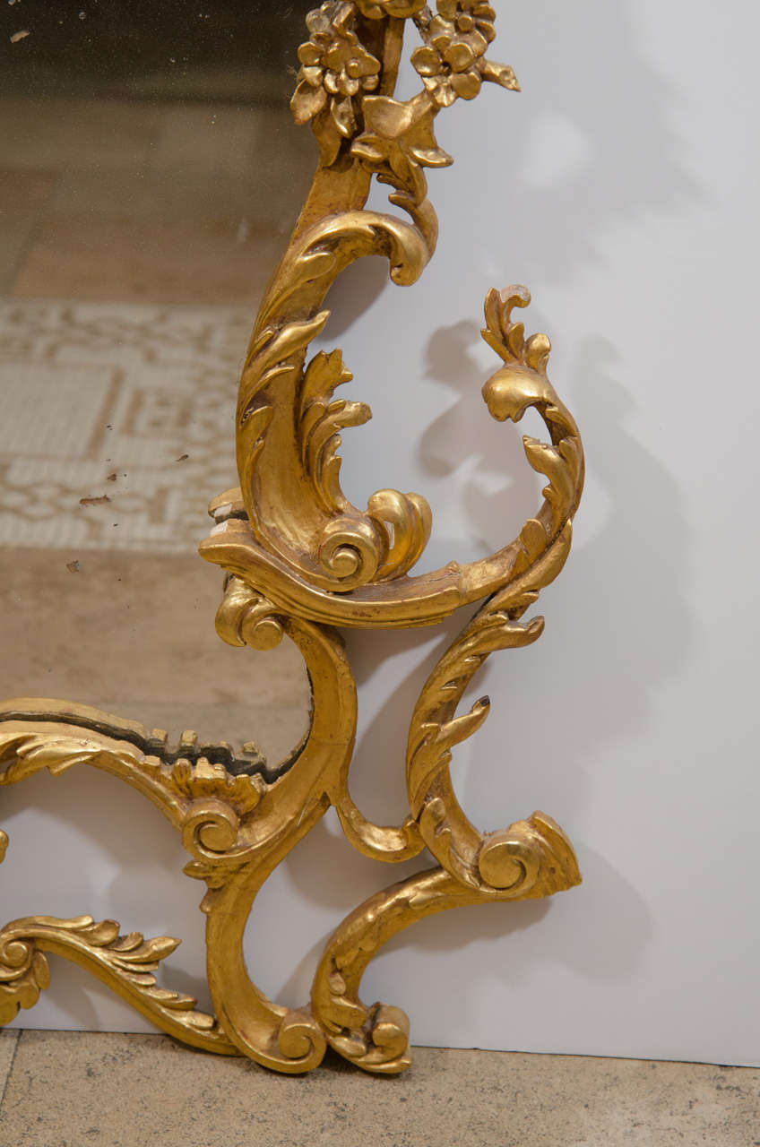 19th Century Pair of Rococo Gilt Mirrors