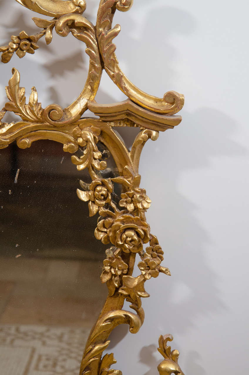 Pair of Rococo Gilt Mirrors 1