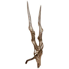 Massive Nickel-Plated Bronze Kudu Skull by Fondica France