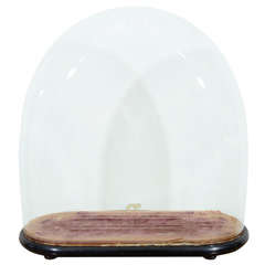 An Oval Glass Display Dome and Wooden Stand.