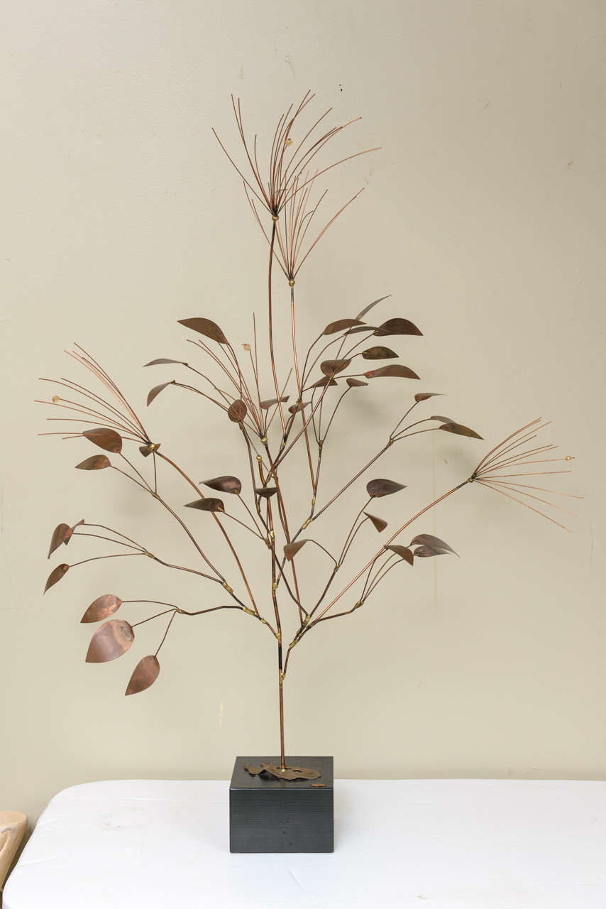 Curtis Jere Tree