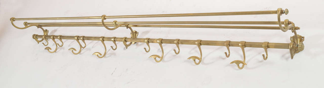 Antique French wall mounted coatrack made of brass. Hooks slide along coatrack's width. Extra bars on top to hang items.