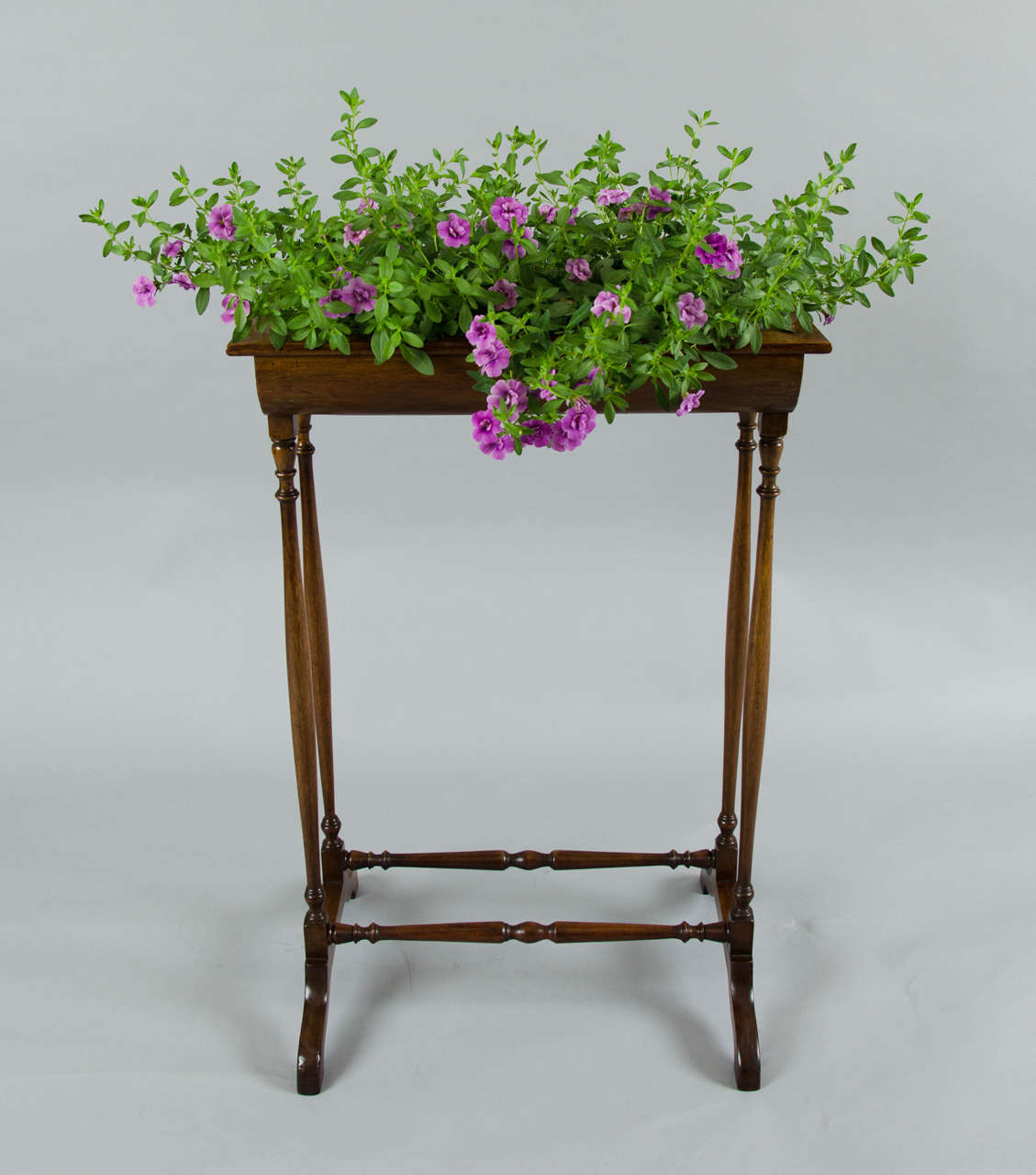 A late Georgian mahogany jardiniere with original liner