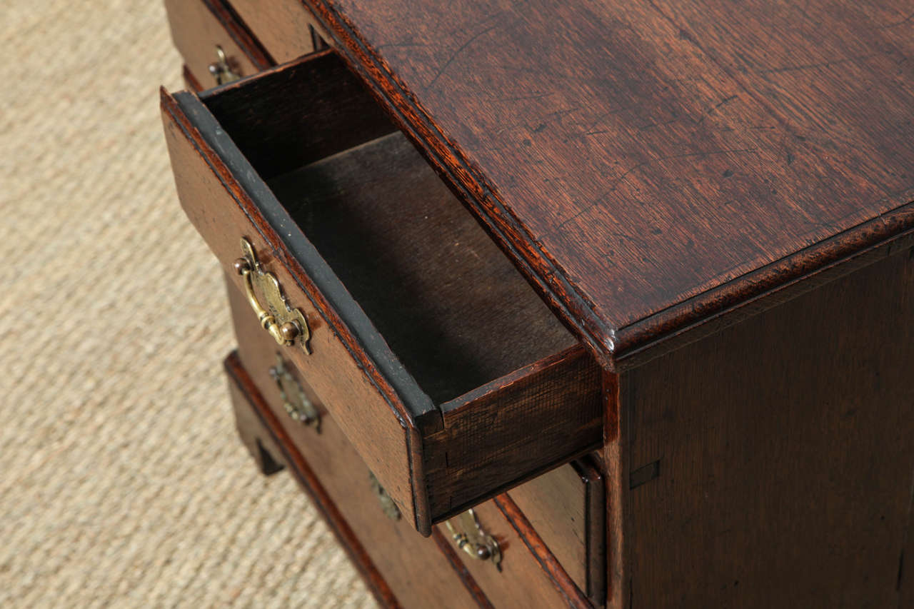 antique bachelors chest