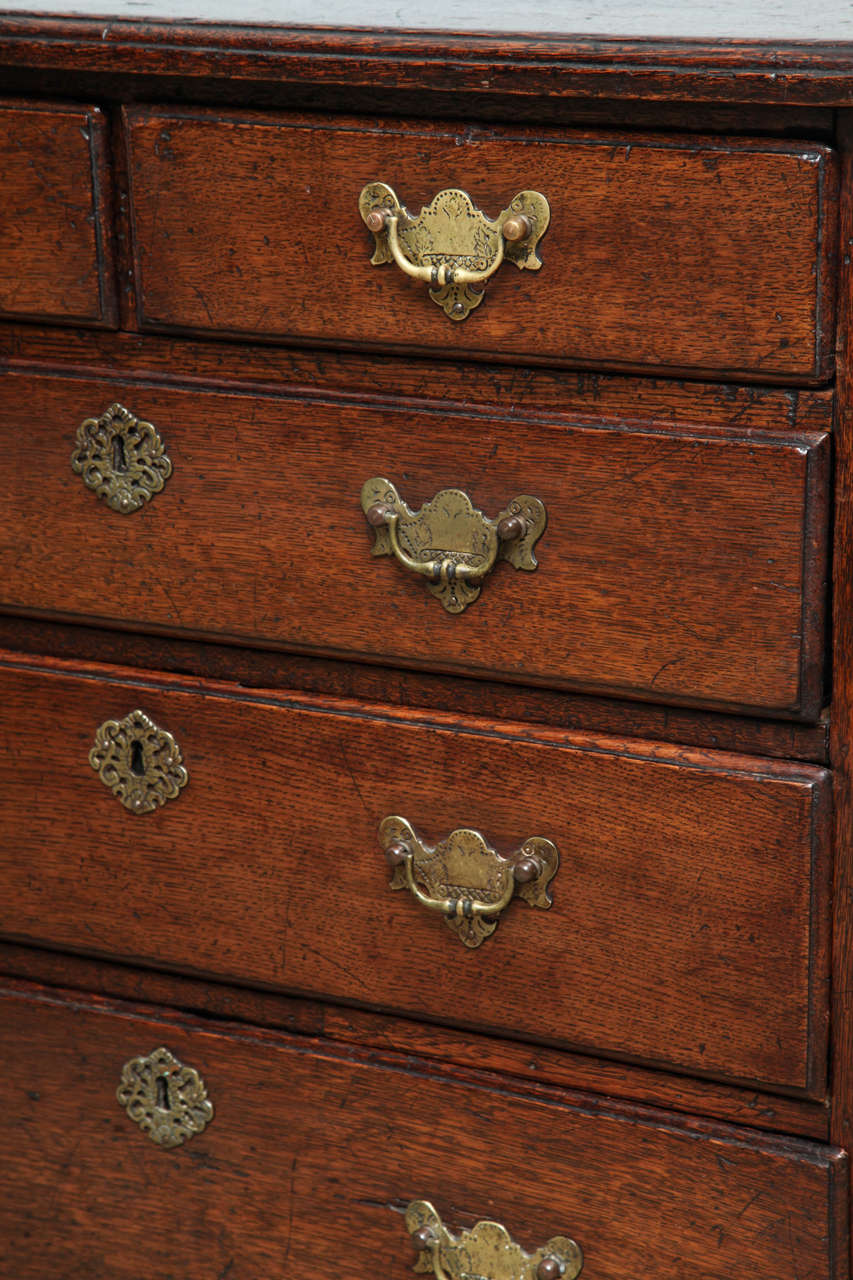 Fine I Oak Bachelor's Chest at 1stDibs bachelor chests for