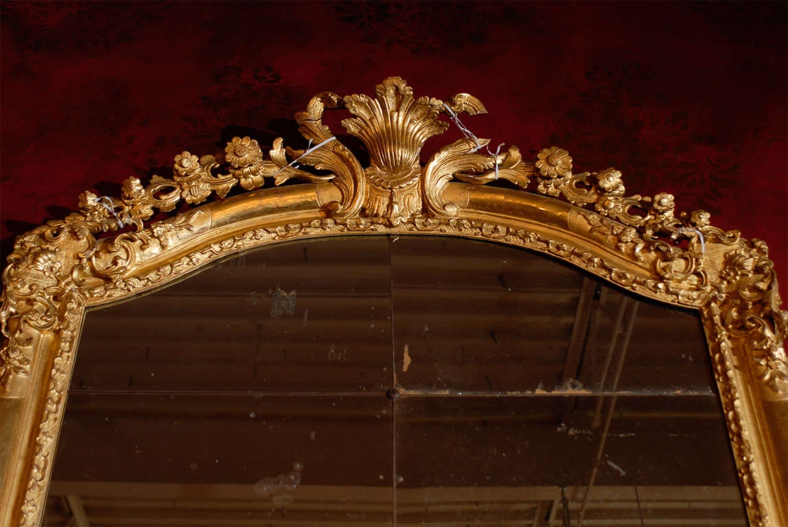 Louis XV Carved  Regency Gilt Mirror 3