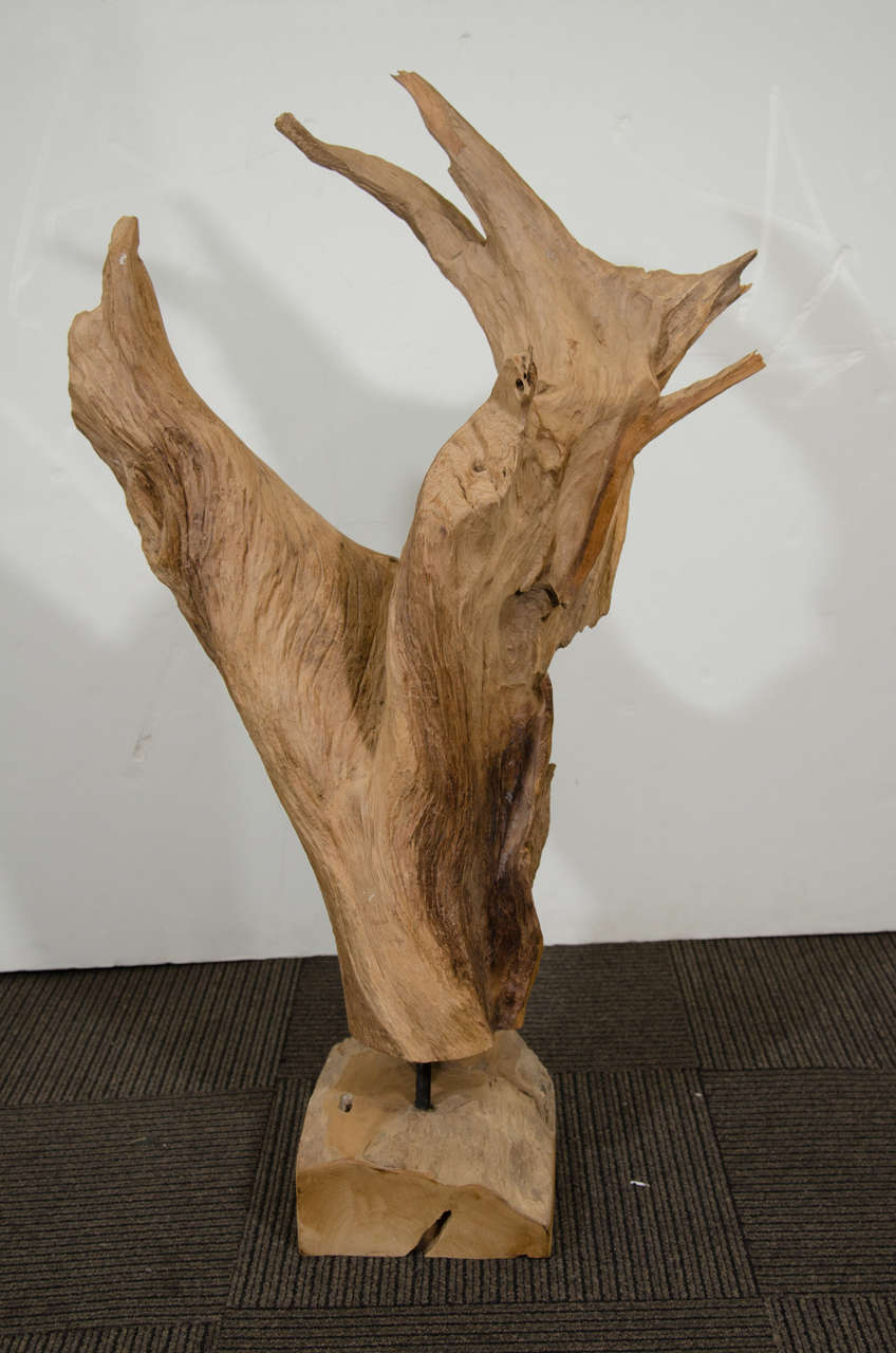 MidCentury Abstract Driftwood Sculpture at 1stdibs