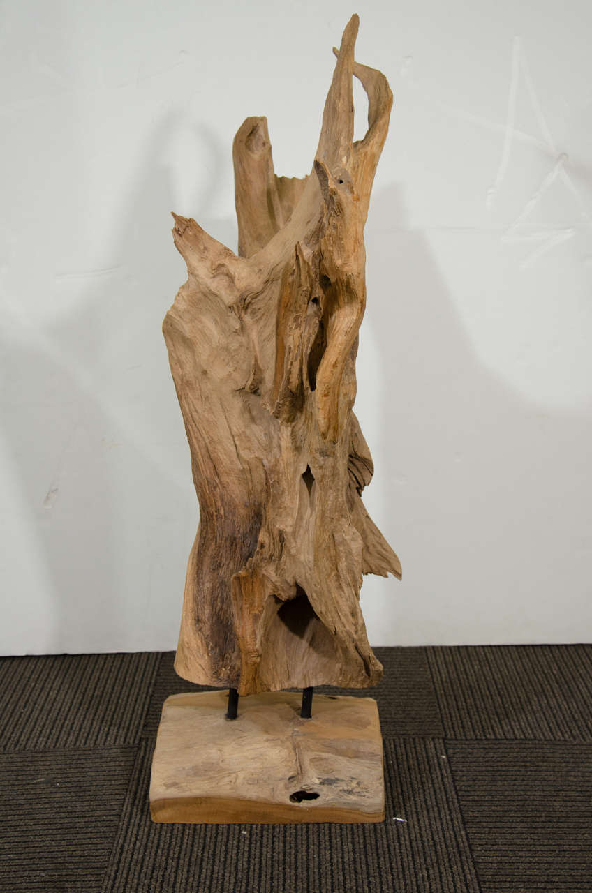 MidCentury Abstract Driftwood Sculpture at 1stdibs