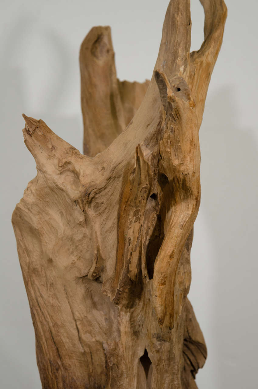 MidCentury Abstract Driftwood Sculpture at 1stDibs
