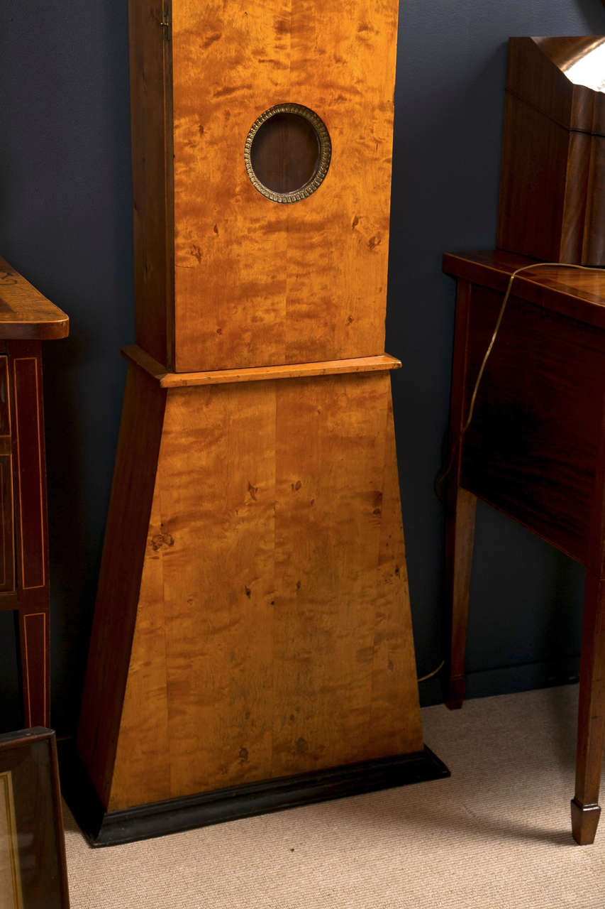 19th Century Swedish Tall Case Clock