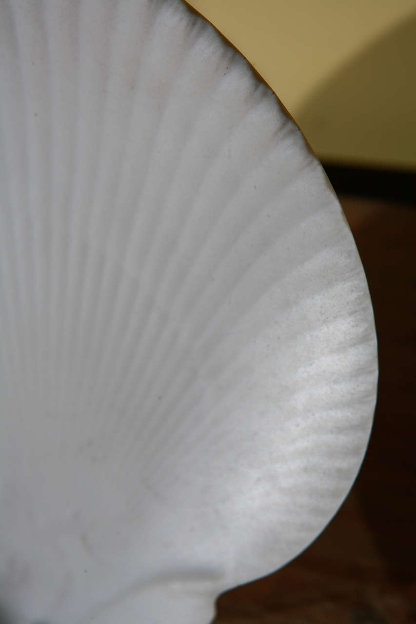 Pair of Wedgwood White Unglazed Porcelain Shell Form Plates 3