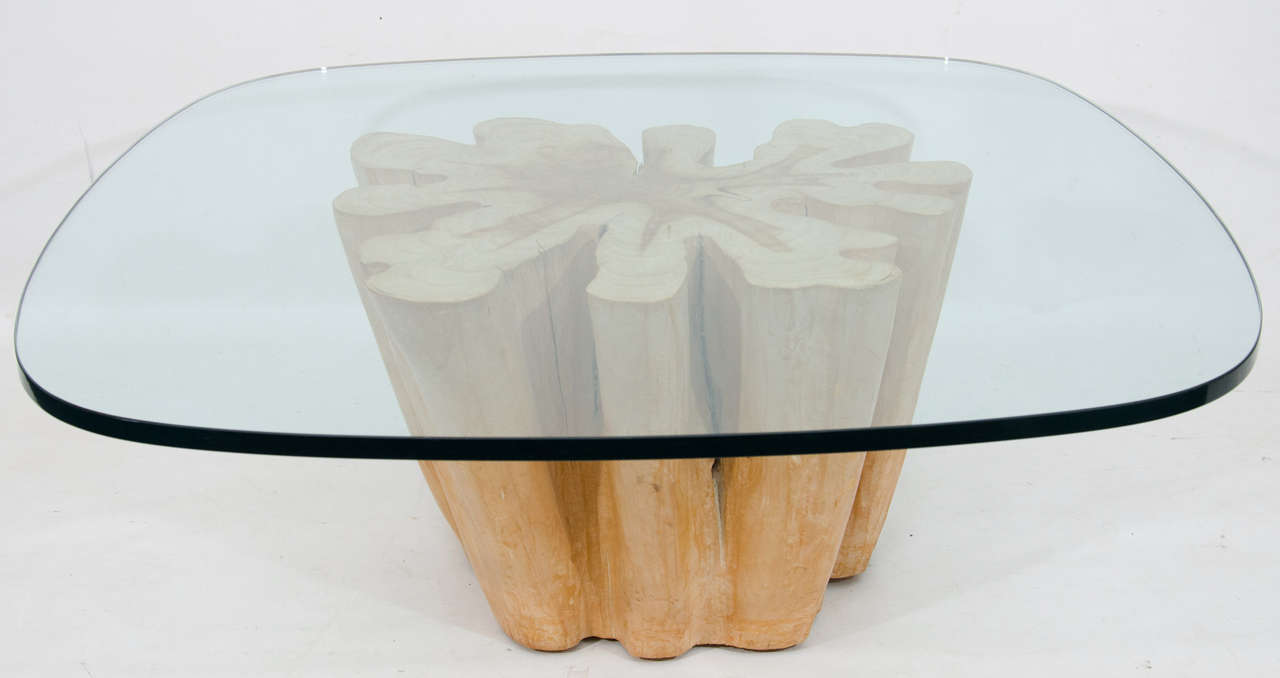 Lovely version of a tree trunk coffee table in a light colored bald cypress wood and gracefully curved thick glass top. Please contact for location.