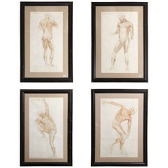 Set of Four Anatomical Drawings, After the Antique