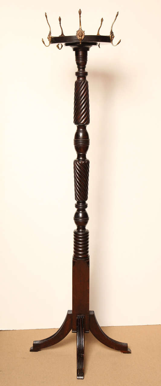 19th Century Irish, Mahogany Coat/Hat Rack