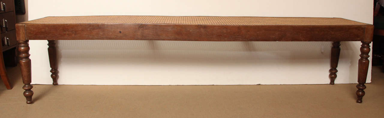 19th Century English Oak and Cane Bench In Good Condition In New York, NY