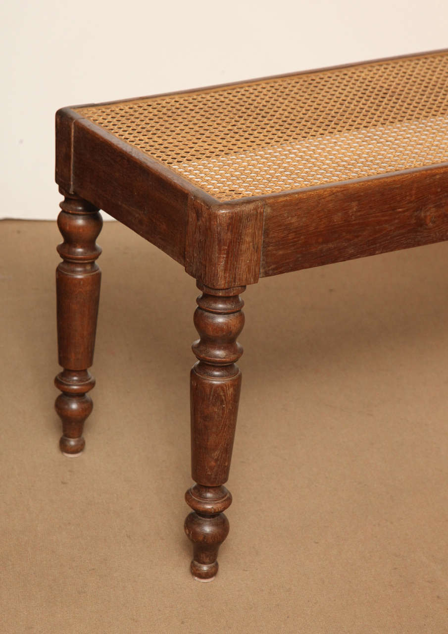 19th Century English Oak and Cane Bench 1