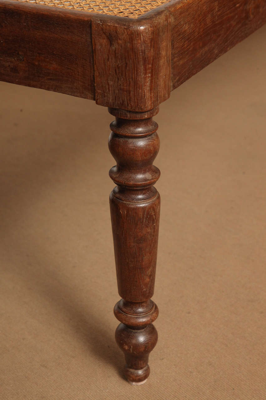 19th Century English Oak and Cane Bench 2
