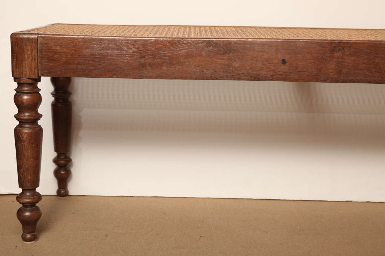 19th Century English Oak and Cane Bench 5