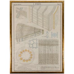 Stampa botanica italiana dei primi del Novecento