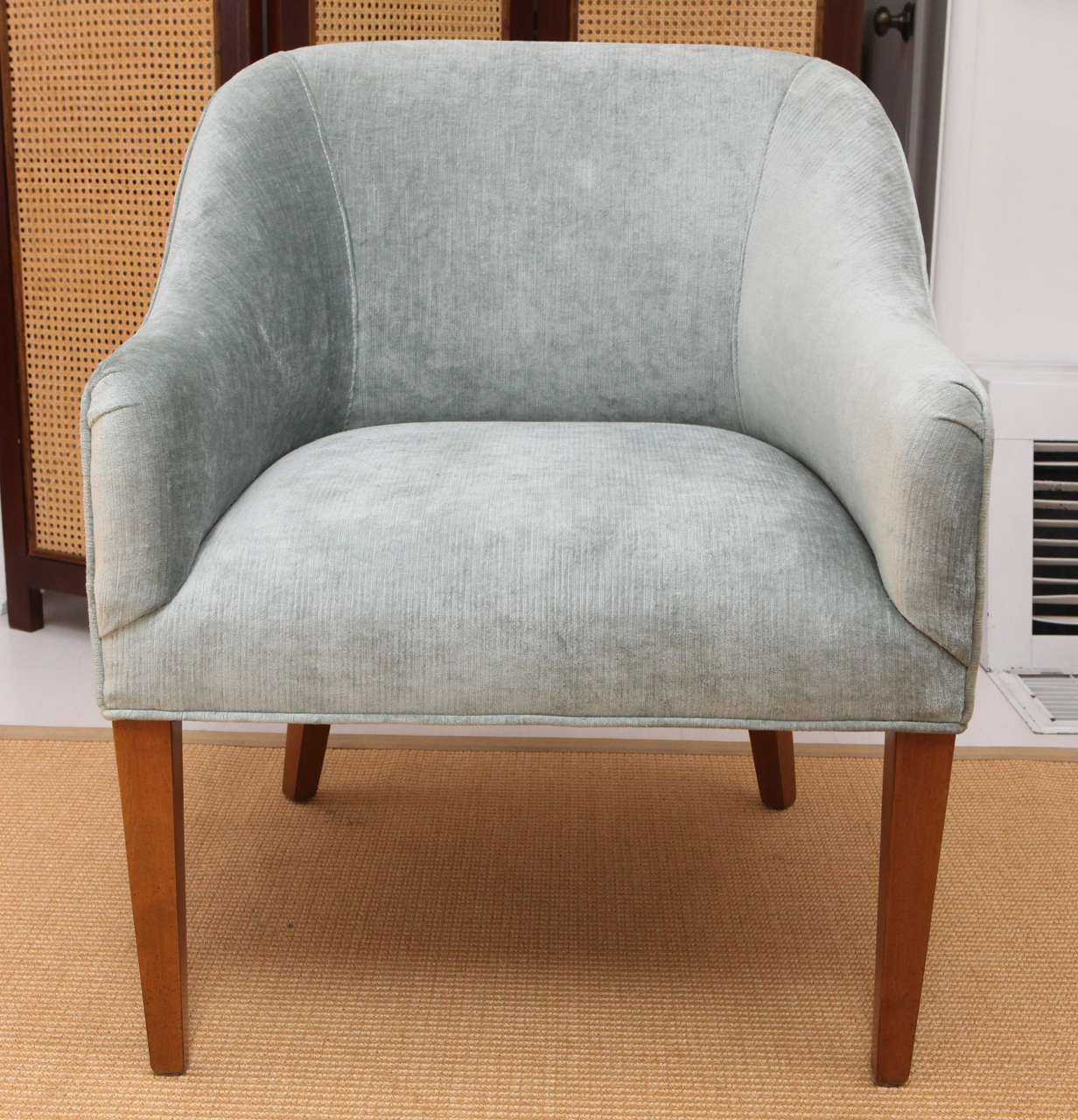 Beautiful light blue velvet chairs. Perfect for living room or end chairs for a dining table.