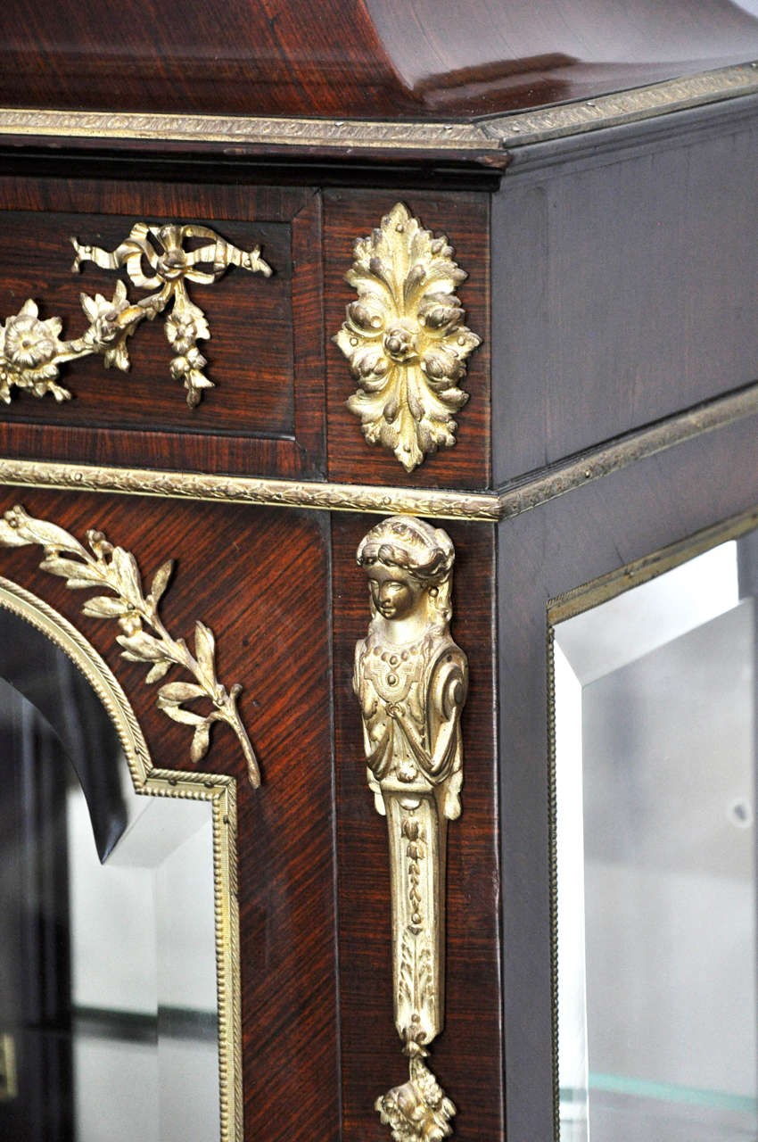 Neoclassical Style Mahogany and Gilt Bronze Vitrine, France, 1880 In Good Condition For Sale In Chicago, IL