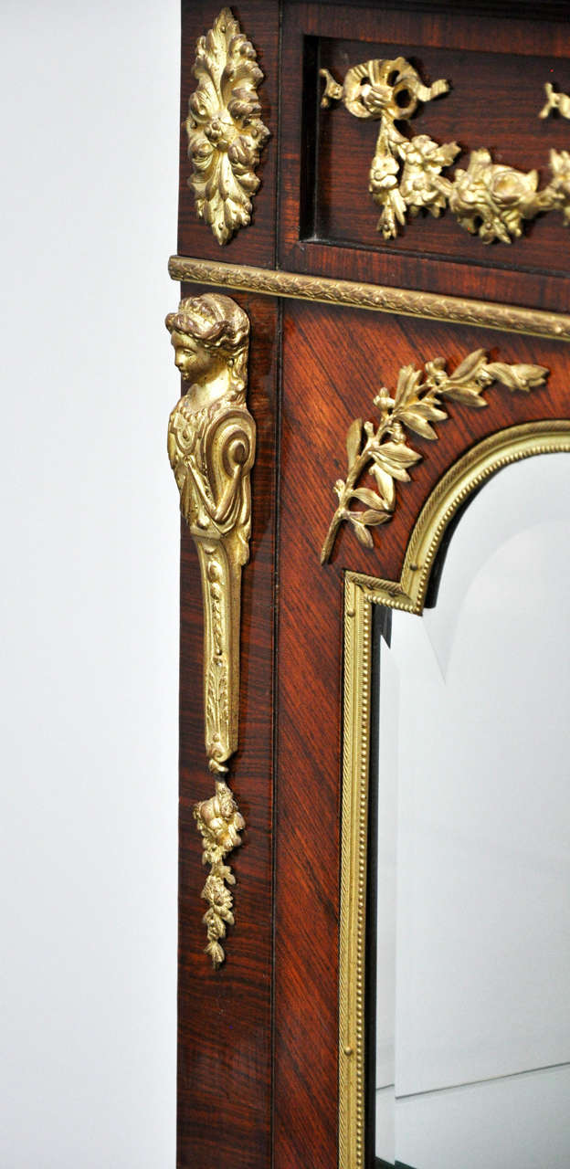 Neoclassical Style Mahogany and Gilt Bronze Vitrine, France, 1880 For Sale 1