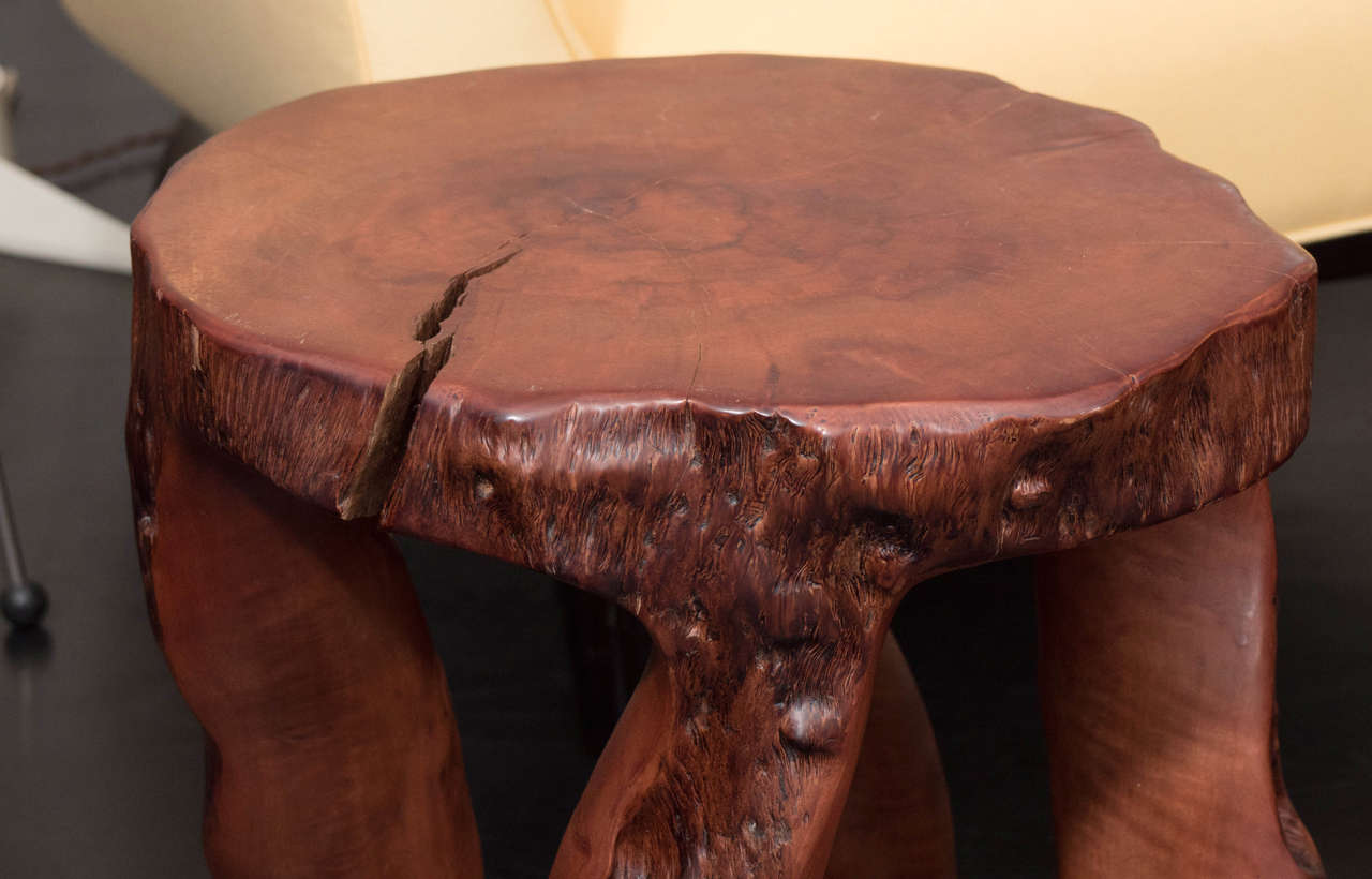 Carved Mahogany Benches or Tables 2