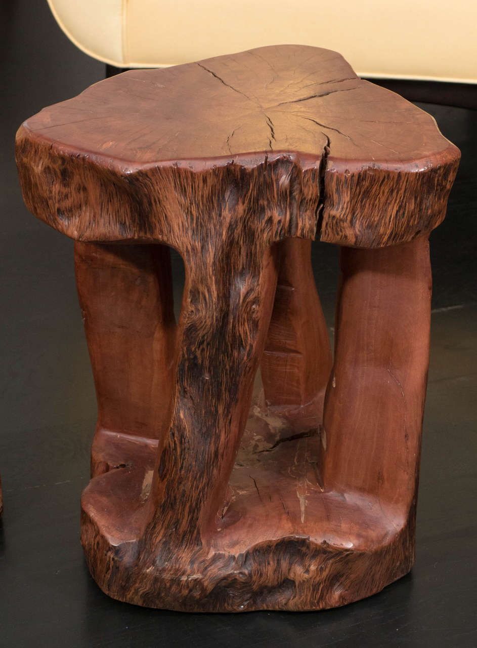 Carved Mahogany Benches or Tables 4
