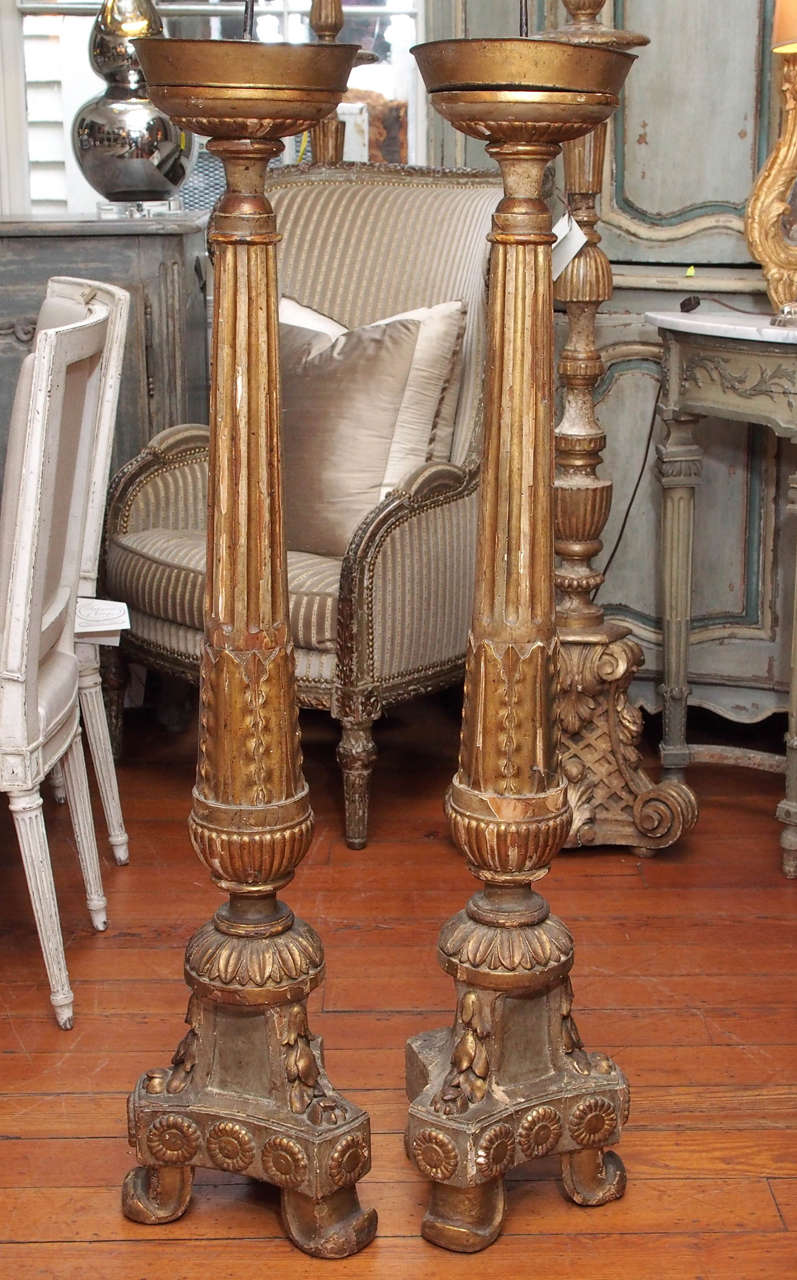 Pair of 19th century carved fluted  gilt wood  floor altar sticks on a tripod base with a brass bobeche. Only the front is gilt wood. The back is painted.  Not wired but can be easily converted into a floor lamp.