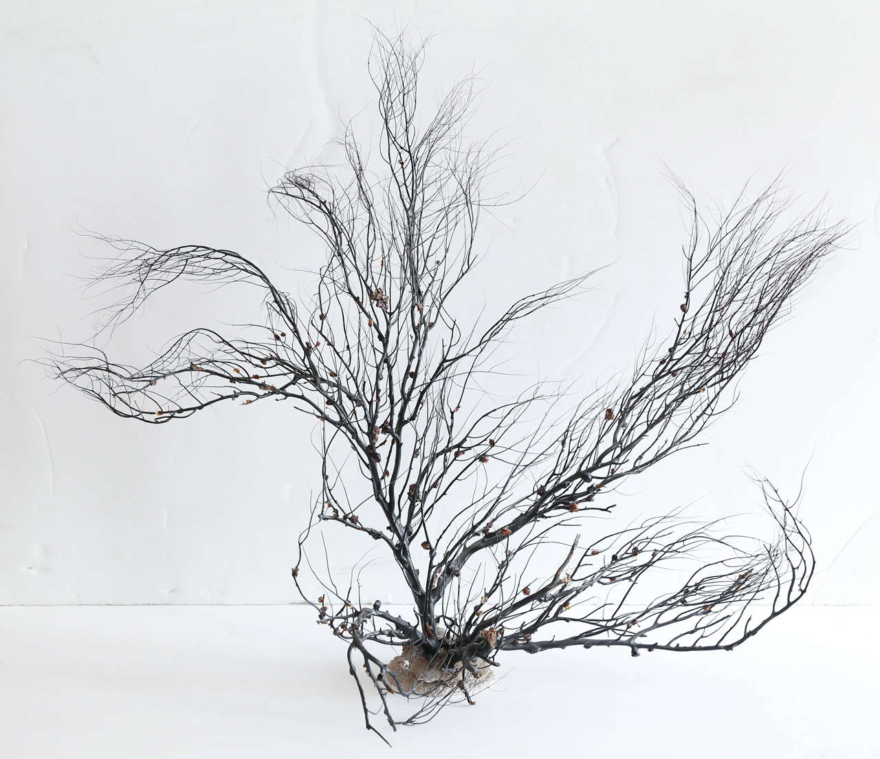 Black sea whip coral as sculpture mounted on stand. Note: International shipping is not available on this item.