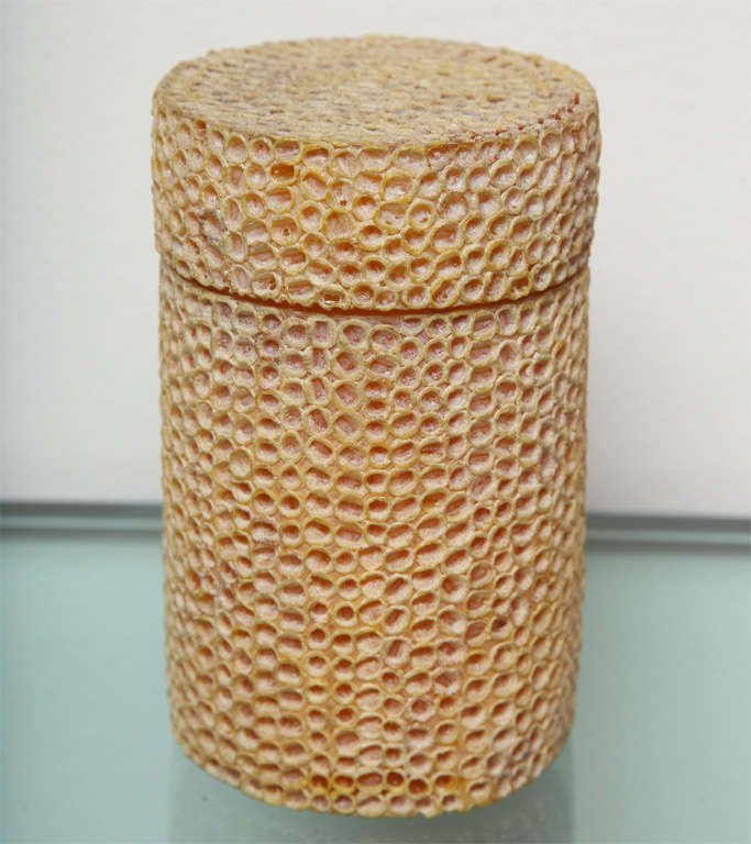 Line Vautrin Cylindrical Box in Resin