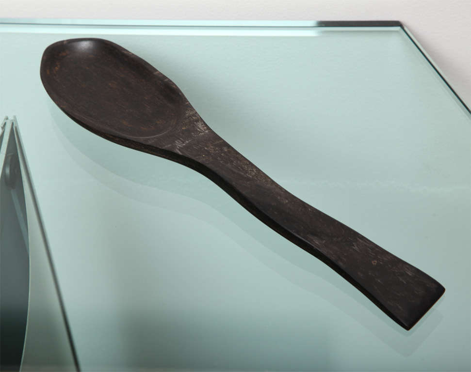 Cuchara de madera Alexandre Noll