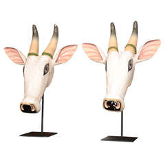 'Nandi' Bull Heads