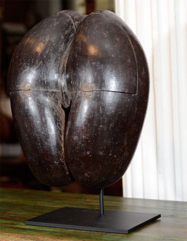 Coco De Mer Holy Man's Beggar Bowl In Excellent Condition In New York, NY