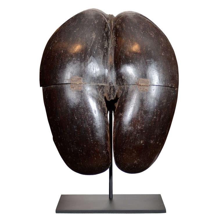 Coco De Mer Holy Man's Beggar Bowl