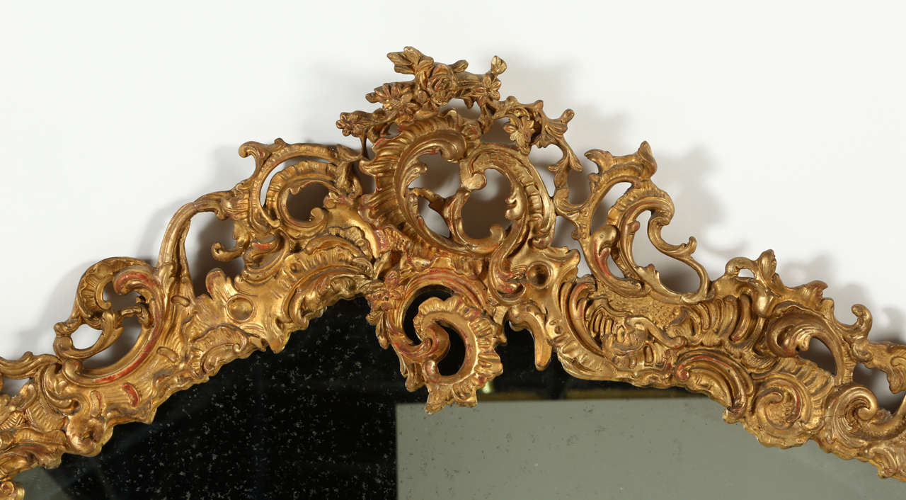 French Large Rococo Style Giltwood Mirror