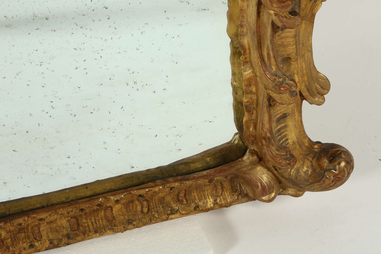 19th Century Large Rococo Style Giltwood Mirror