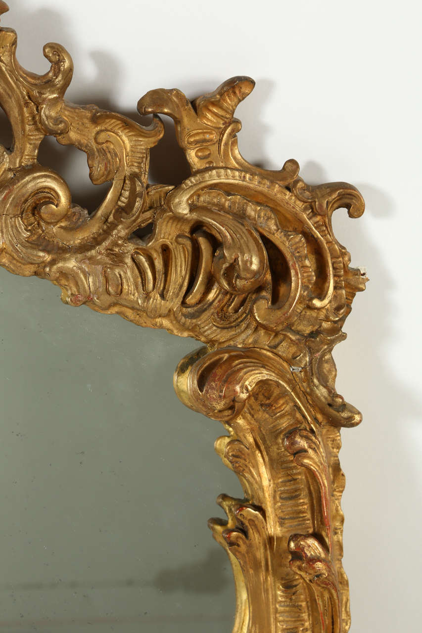 Large Rococo Style Giltwood Mirror 1