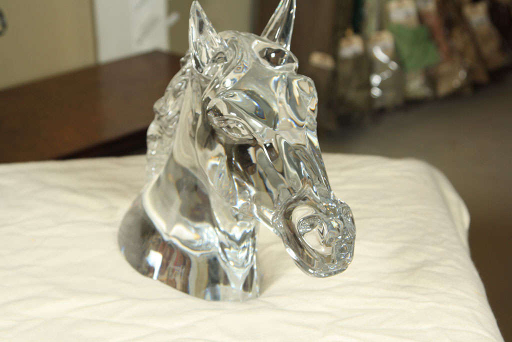 French Baccarat  Horse  Head  Trophy - by  Georgeon