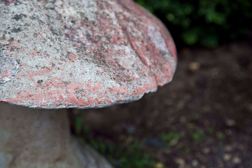 Mid-20th Century Whimsical English Cast Stone Toadstool