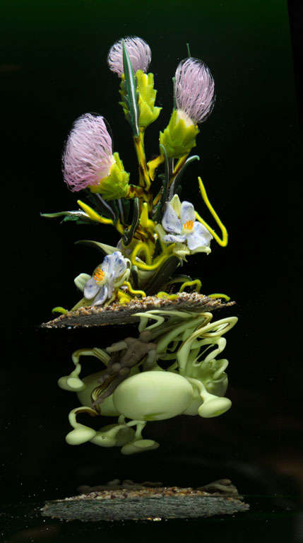 American Paul Stankard Cloistered Glass Botanical For Sale