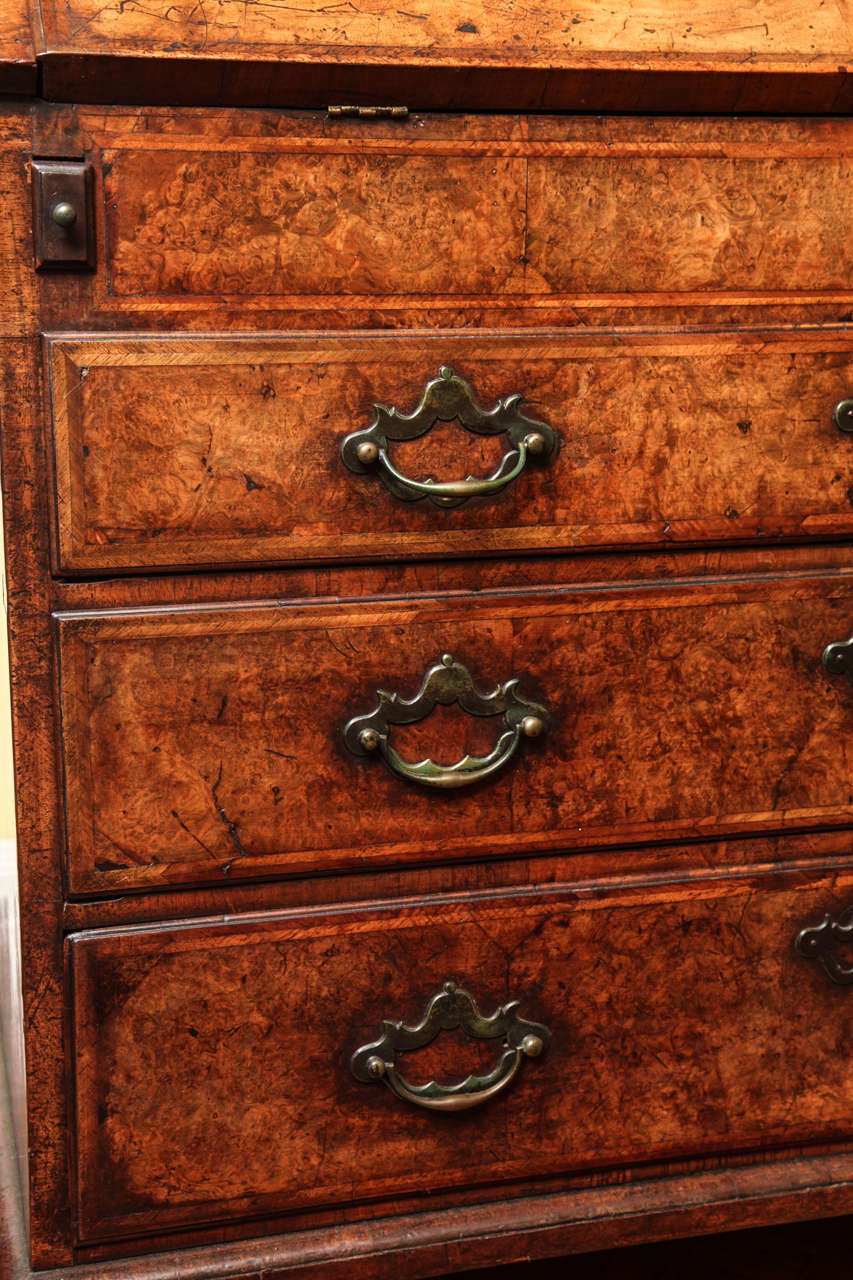 18th Century and Earlier Fine Burr Walnut George I Bureau Bookcase For Sale