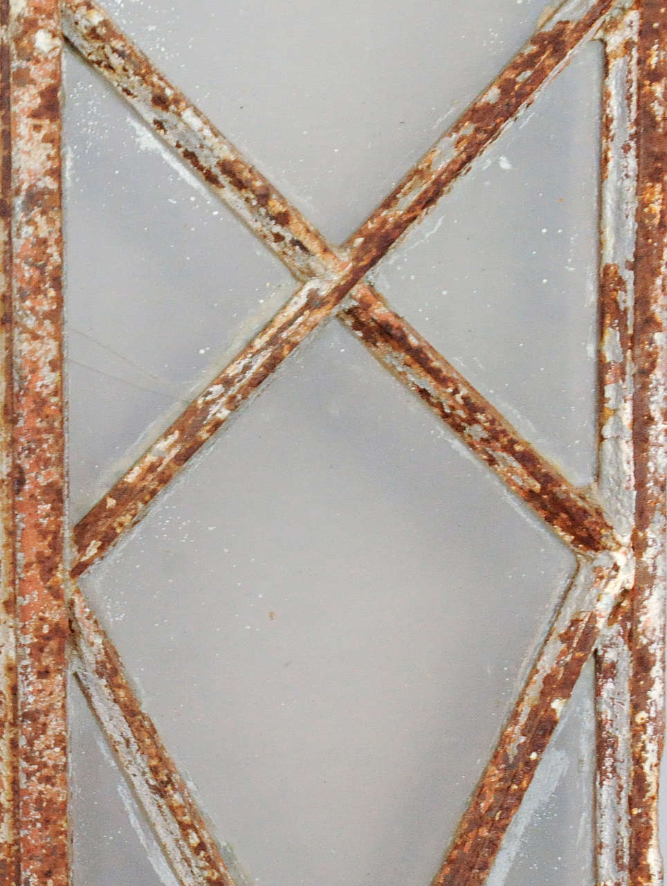 A Set of 19th. wrought iron greenhouse doors at 1stDibs