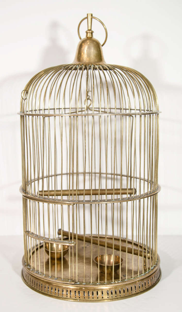 Victorian bird cage from Europe, most probable French or English. The bird cage is in brass with some bronze details and has age appropriate patina.  Classic Victorian form with stylized top ring fitting. The cage also features a large swing perch