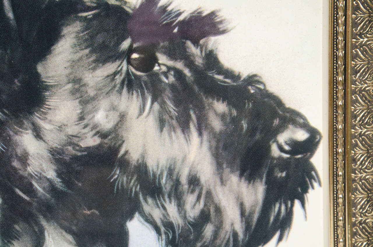 American Vintage 'Portrait of Dog' Colored Lithograph on Paper 